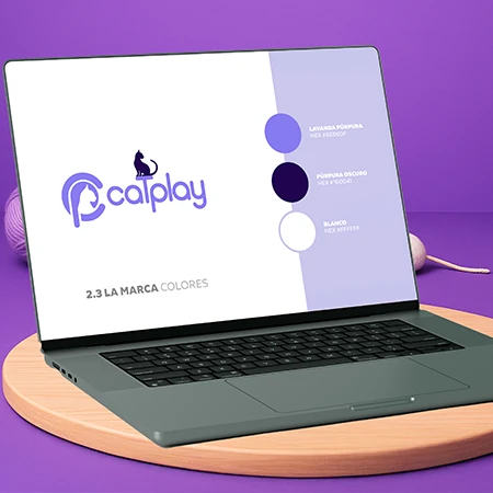 Portfolio Image